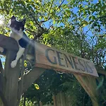Genesis Bed and Breakfast 4*