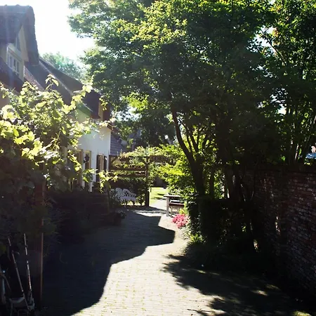 Genesis Voorschoten