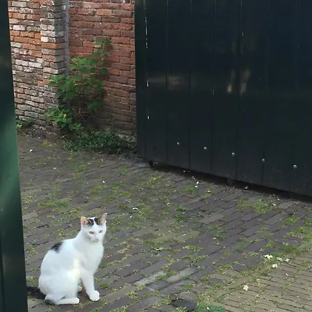 Genesis Panzió Voorschoten
