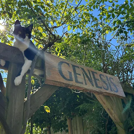 Genesis Nocleg ze śniadaniem 4*