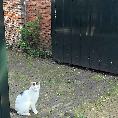 Genesis 4* Voorschoten