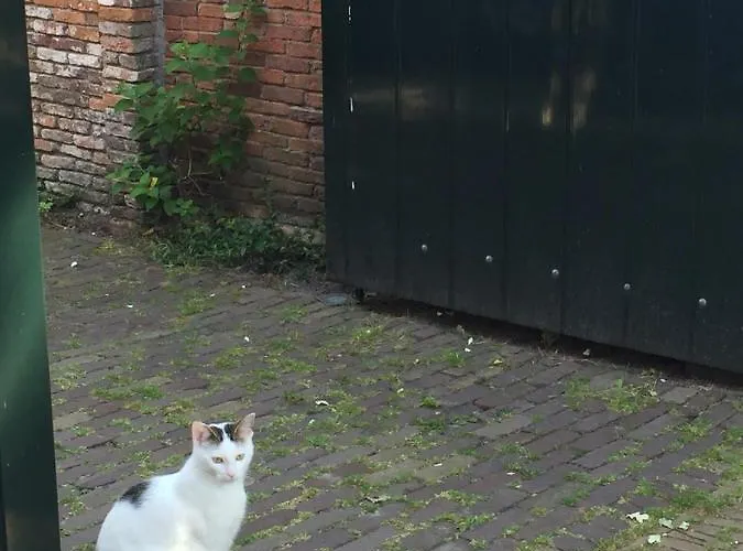 Genesis Panzió Voorschoten